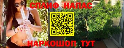 гидра Бузулук