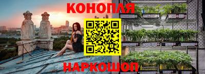 трава Будённовск