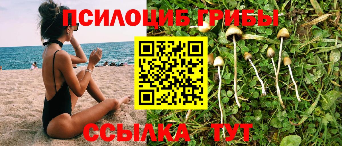 Спасск-Дальний  Псилоцибиновые грибы Cubensis  Вход с VPN 